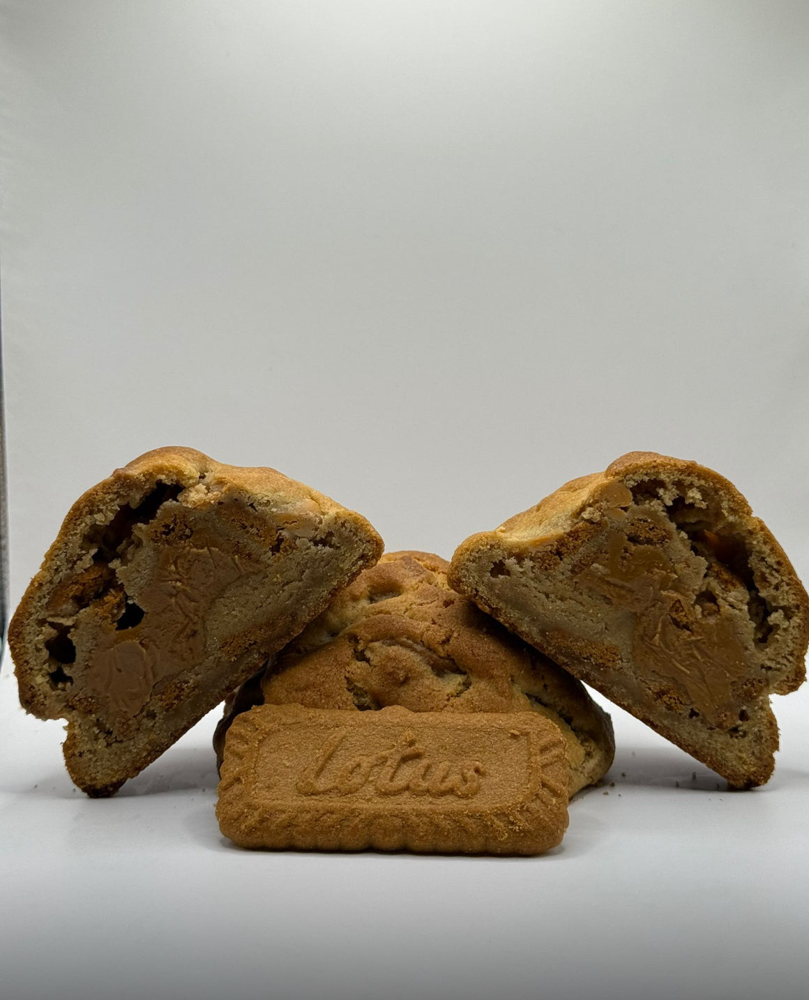 Lotus o Biscoff Cookie